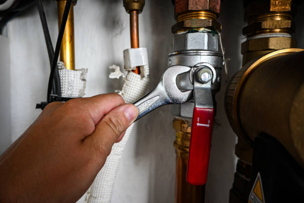 Best Plumbing Inspection Services  in Easton, MD